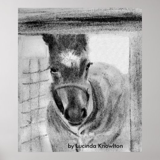 Eerste keer uit Lucinda Knowlton Poster (Voorkant)