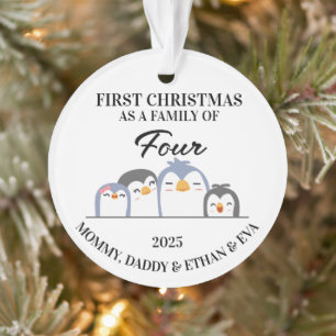 Eerste kerst als een familie van 4, aangepaste pin ornament