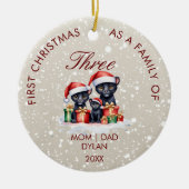 Eerste kerst als een Family Circle Ornament (Voorkant)