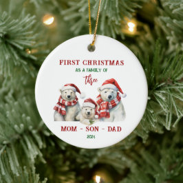 Eerste kerst als Ornament