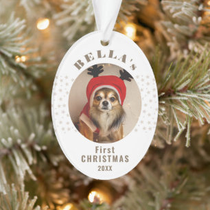 Eerste kerst hond huisdier foto sterren ornament