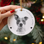 Eerste kerst in mijn eeuwige thuis | Christmas Metalen Ornament<br><div class="desc">Vier de eerste kerst van uw huisdier thuis met sophisticatie en grilligheid met ons premium, aanpasbare ornament. Een betoverende boomdecoratie die elegant de foto van je harige vriend in een cirkelvormig ontwerp toont, gestempeld met 'EERSTE KERST IN MIJN EEUWIGE HUIS' en hun liefste naam. Met de flexibiliteit om de lettertypen...</div>
