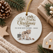 Eerste kerst nieuwe thuis winter paard