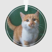 Eerste kerst Pine Kitten Cat 2 Foto Keepsake Ornament (achterkant)