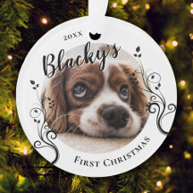 Eerste Kerst Puppy Loof Naam Hond Foto