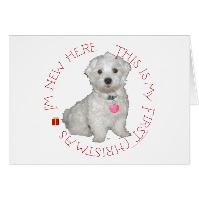 Eerste kerst van Maltese pup (Voorkant Horizontaal)