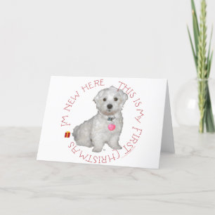 Eerste kerst van Maltese Pup Feestdagen Kaart