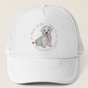 Eerste kerst van Maltese Pup Trucker Pet