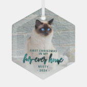 Eerste kerst voor altijd Home Pet Foto Blauwgroen  Glas Ornament (Voorkant)