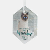 Eerste kerst voor altijd Home Pet Foto Blauwgroen  Glas Ornament (Voorkant links)