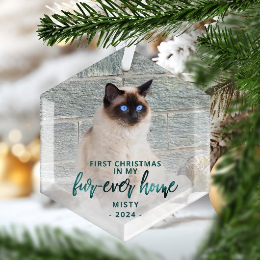 Eerste kerst voor altijd Home Pet Foto Blauwgroen  Glas Ornament