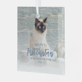 Eerste kerst voor altijd Home Pet Photo Blue Squar Glas Ornament (Voorkant links)