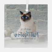 Eerste kerst voor altijd Home Pet Photo Blue Squar Glas Ornament (Achterkant)