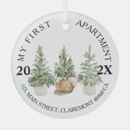 Eerste kerstbomen in appartementenhok glas ornament