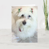 Eerste Kerstdag Kaart (Voorkant)