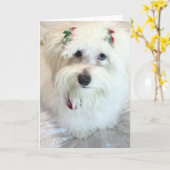 Eerste Kerstdag Kaart (Gele Bloem)