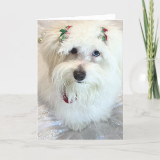 Eerste Kerstdag Kaart