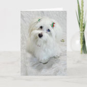 Eerste Kerstdag Kaart (Voorkant)