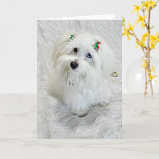 Eerste Kerstdag Kaart (Gele Bloem)