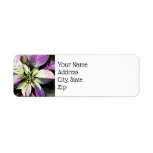 Eerste kerstdag Labels - Lav Poinsettias