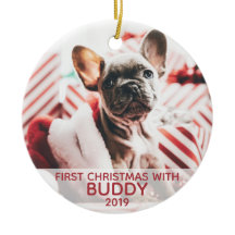 Eerste kerstdag met hond is misschien je dag een f