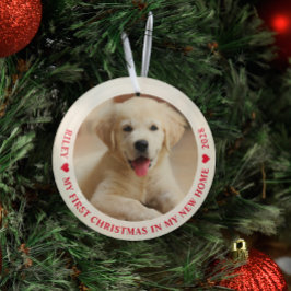 Eerste Kerstfeest Nieuwe homepage foto van Puppy D Glas Ornament
