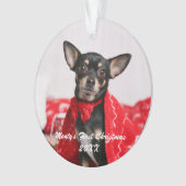 Eerste kerstfeest ornament (voorkant)