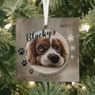 Eerste Kerstfeest van Puppies Rustieke Hond Naam F Glas Ornament