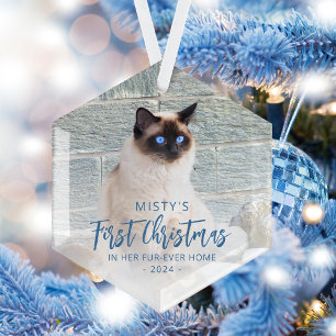Eerste kerstfeest voor altijd thuis huisdier foto  glas ornament
