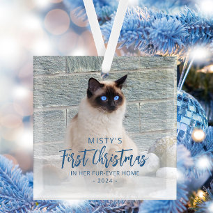 Eerste kerstfeest voor altijd thuis huisdier foto  glas ornament