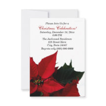 Eerste kerstfeestdagen in Poinsettia