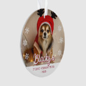Eerste kerstfoto foto Snowflakes Ornament (voorkant)