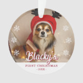 Eerste kerstfoto foto Snowflakes Ornament (voorkant)