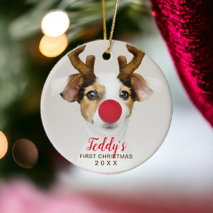 Eerste kerstfoto foto's met een schattige hond keramisch ornament