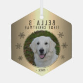 Eerste kerstfoto Golden Snowflake Dog Glas Ornament (Achterkant)
