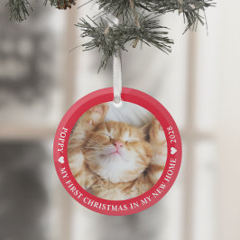 Eerste kerstfoto Kitten Cat Glas Ornament