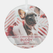 Eerste kerstfoto met hond en naam schattig glas ornament (Voorkant)