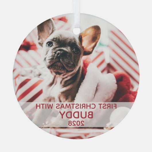 Eerste kerstfoto met hond en naam schattig glas ornament (Achterkant)