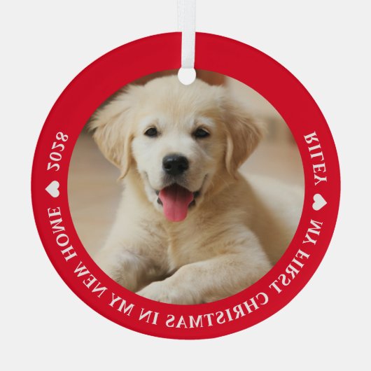 Eerste kerstfoto Puppy Dog Glas Ornament (Achterkant)