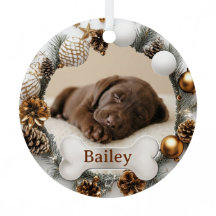Eerste kerstfoto van een schattige puppy-hond en k