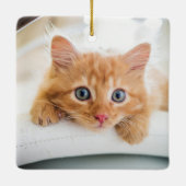 Eerste kerstfoto van kat keramisch ornament (Achterkant)
