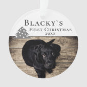 Eerste kerstfoto van Pet met kerstmis Foto Ornament (voorkant)