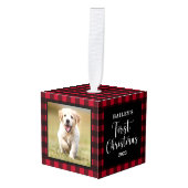 Eerste kerstfoto van Red Buffalo Pset Puppy Dog Decoratie (Voorkant hoekig)