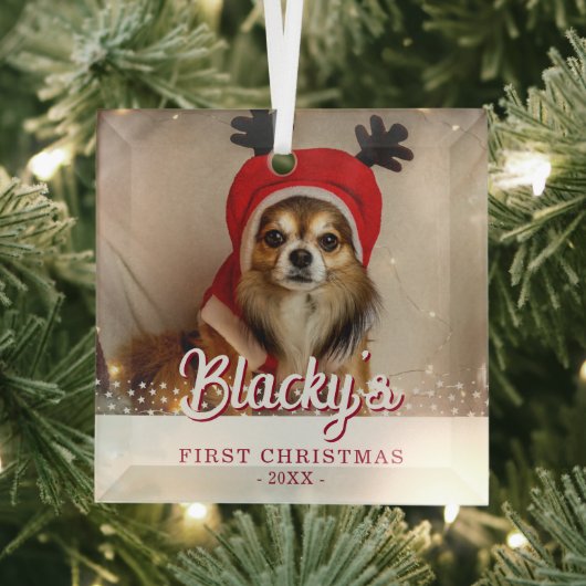 Eerste kerstfoto White Stars Glas Ornament (Insitu)