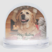 Eerste kerstfoto's samen met Pet Custom Sneeuwbol (Achterkant)