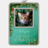 Eerste Kersthuisdier Foto Aandenken, Mint Decor - Verzilverd Omlijst Ornament (Voorkant)