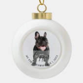 Eerste kersthuisdier foto script naam ornament (Voorkant)