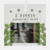 Eerste Kerstkerst Kat Kat Pine Foto Keepomwille Glas Ornament (Achterkant)