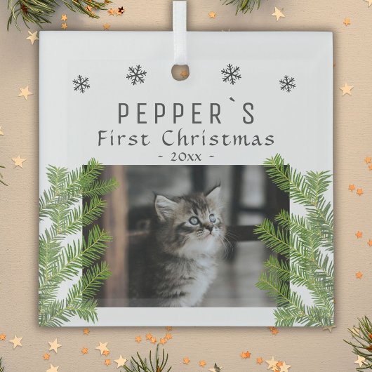Eerste Kerstkerst Kat Kat Pine Foto Keepomwille Glas Ornament