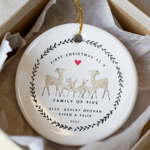 Eerste Kerstmis als familie van vijf jaar geleden